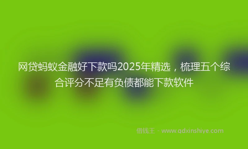 网贷蚂蚁金融好下款吗2025年精选，梳理五个综合评分不足有负债都能下款软件
