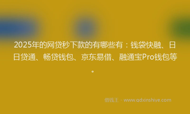 2025年的网贷秒下款的有哪些有：钱袋快融、日日贷通、畅贷钱包、京东易借、融通宝Pro钱包等。