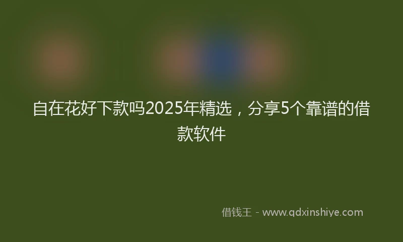 自在花好下款吗2025年精选，分享5个靠谱的借款软件