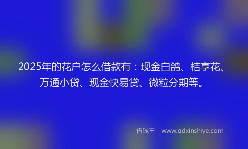 2025年的花户怎么借款有：现金白鸽、桔享花、万通小贷、现金快易贷、微粒分期等。