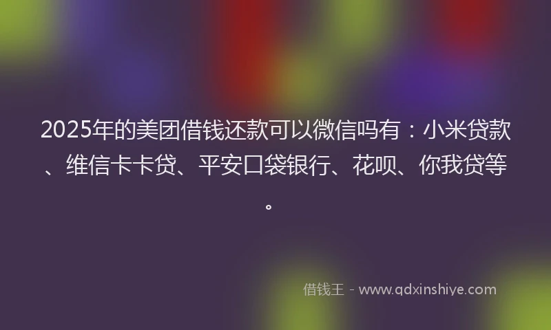 2025年的美团借钱还款可以微信吗有：小米贷款、维信卡卡贷、平安口袋银行、花呗、你我贷等。