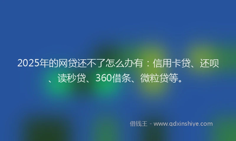 2025年的网贷还不了怎么办有：信用卡贷、还呗、读秒贷、360借条、微粒贷等。