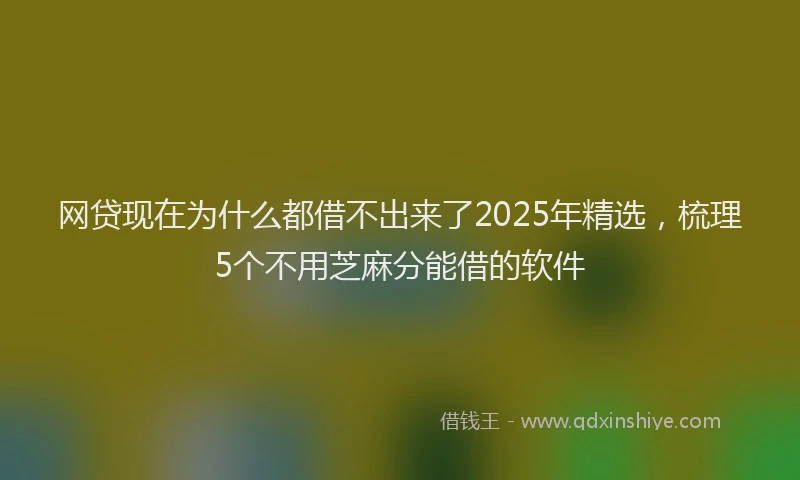 网贷现在为什么都借不出来了2025年精选，梳理5个不用芝麻分能借的软件