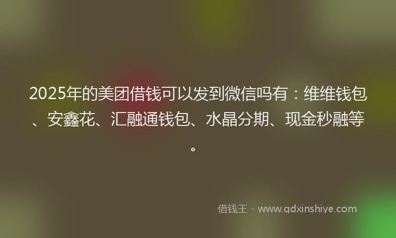 2025年的美团借钱可以发到微信吗有：维维钱包、安鑫花、汇融通钱包、水晶分期、现金秒融等。