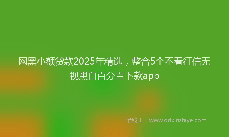 网黑小额贷款2025年精选，整合5个不看征信无视黑白百分百下款app
