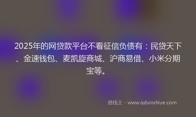 2025年的网贷款平台不看征信负债有：民贷天下、金速钱包、麦凯旋商城、沪商易借、小米分期宝等。