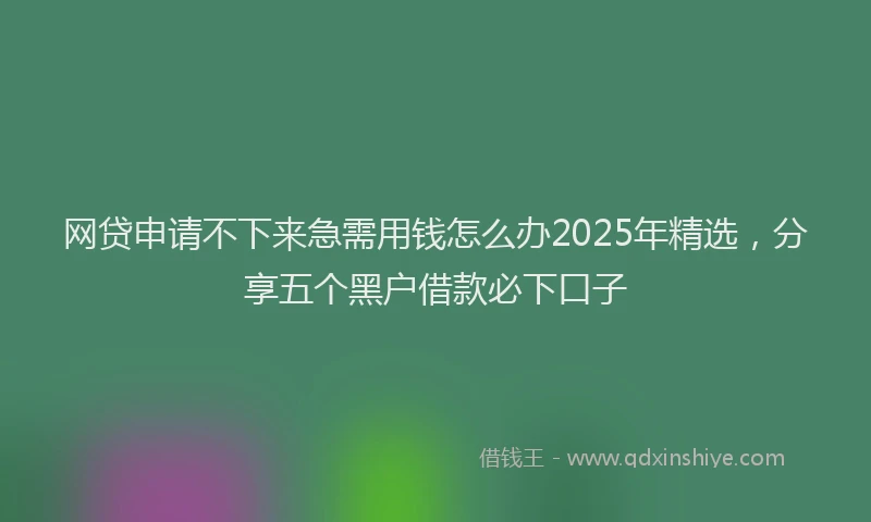 网贷申请不下来急需用钱怎么办2025年精选，分享五个黑户借款必下口子