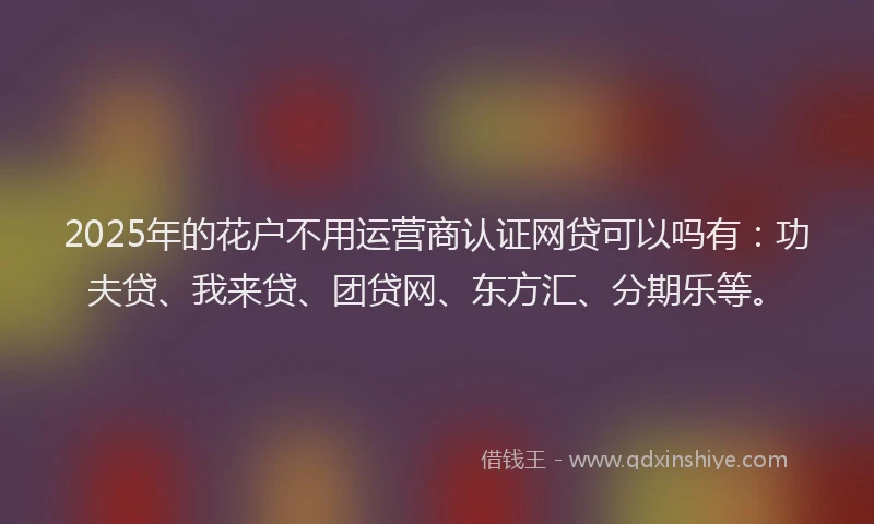 2025年的花户不用运营商认证网贷可以吗有：功夫贷、我来贷、团贷网、东方汇、分期乐等。