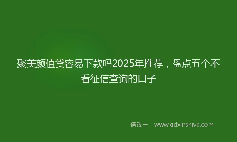 聚美颜值贷容易下款吗2025年推荐，盘点五个不看征信查询的口子