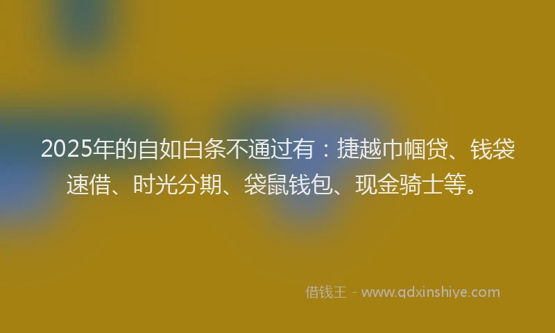 2025年的自如白条不通过有：捷越巾帼贷、钱袋速借、时光分期、袋鼠钱包、现金骑士等。