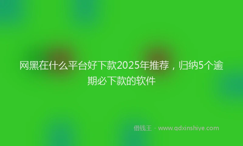 网黑在什么平台好下款2025年推荐，归纳5个逾期必下款的软件