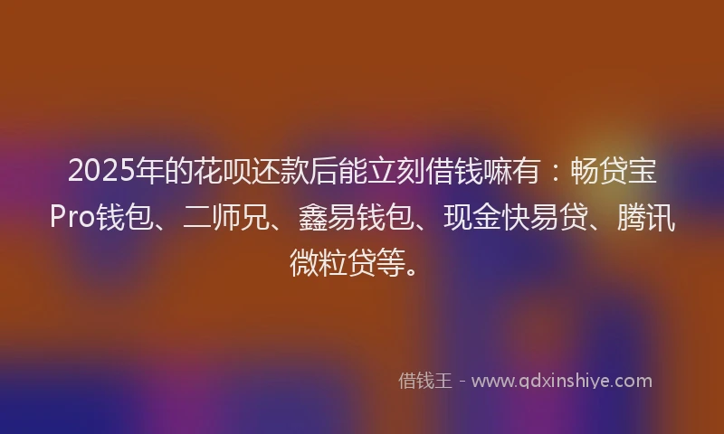 2025年的花呗还款后能立刻借钱嘛有：畅贷宝Pro钱包、二师兄、鑫易钱包、现金快易贷、腾讯微粒贷等。
