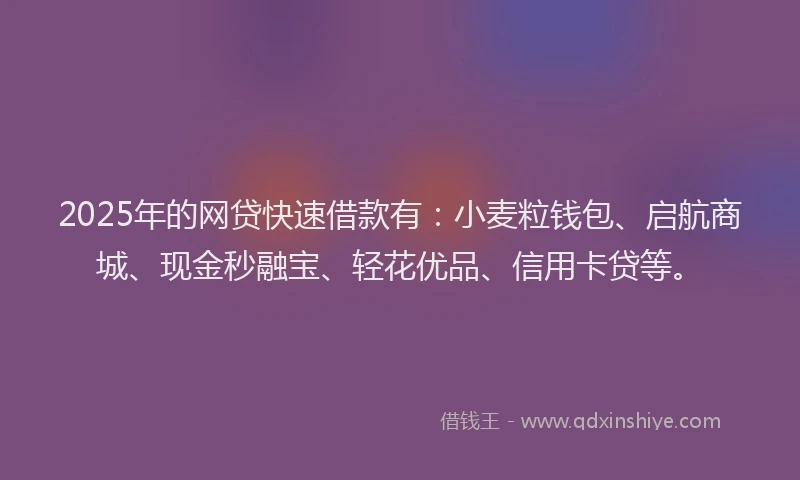 2025年的网贷快速借款有：小麦粒钱包、启航商城、现金秒融宝、轻花优品、信用卡贷等。