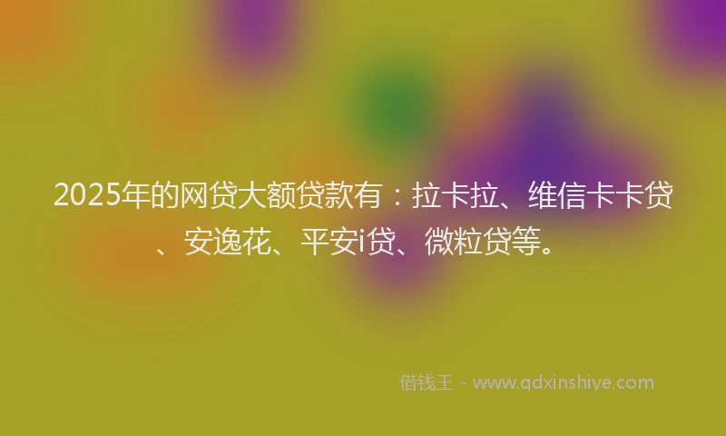 2025年的网贷大额贷款有：拉卡拉、维信卡卡贷、安逸花、平安i贷、微粒贷等。