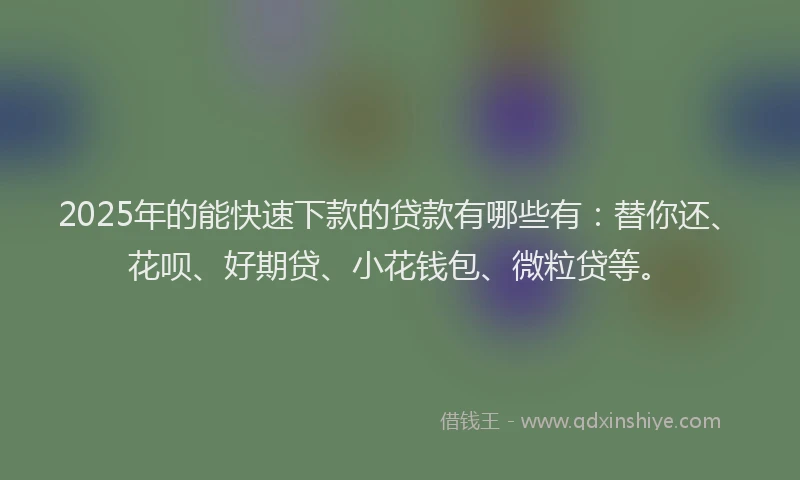2025年的能快速下款的贷款有哪些有：替你还、花呗、好期贷、小花钱包、微粒贷等。