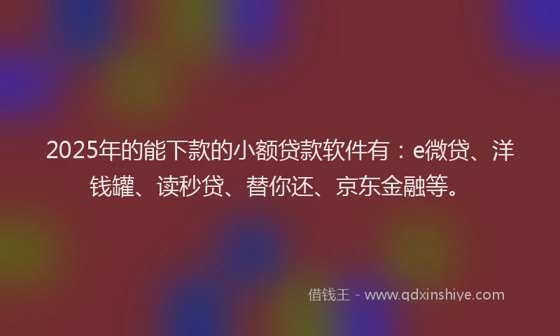 2025年的能下款的小额贷款软件有：e微贷、洋钱罐、读秒贷、替你还、京东金融等。