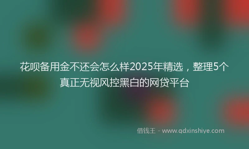 花呗备用金不还会怎么样2025年精选，整理5个真正无视风控黑白的网贷平台