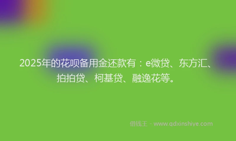 2025年的花呗备用金还款有：e微贷、东方汇、拍拍贷、柯基贷、融逸花等。