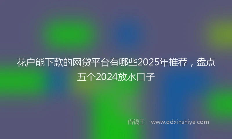 花户能下款的网贷平台有哪些2025年推荐，盘点五个2024放水口子