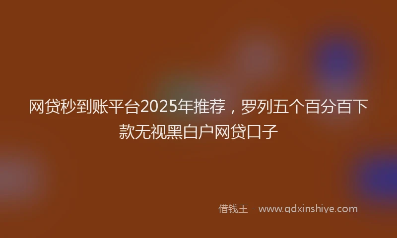 网贷秒到账平台2025年推荐，罗列五个百分百下款无视黑白户网贷口子