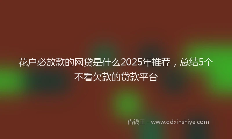 花户必放款的网贷是什么2025年推荐，总结5个不看欠款的贷款平台
