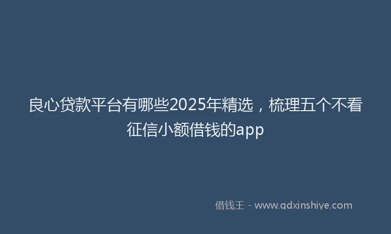 良心贷款平台有哪些2025年精选，梳理五个不看征信小额借钱的app