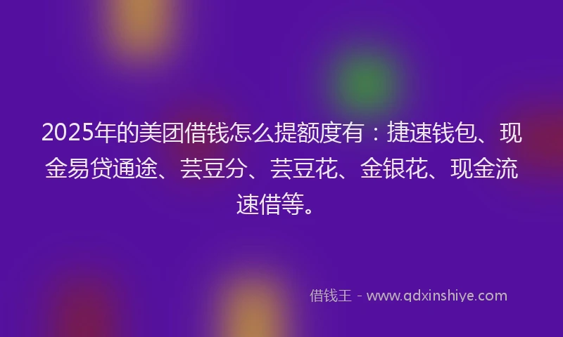 2025年的美团借钱怎么提额度有：捷速钱包、现金易贷通途、芸豆分、芸豆花、金银花、现金流速借等。
