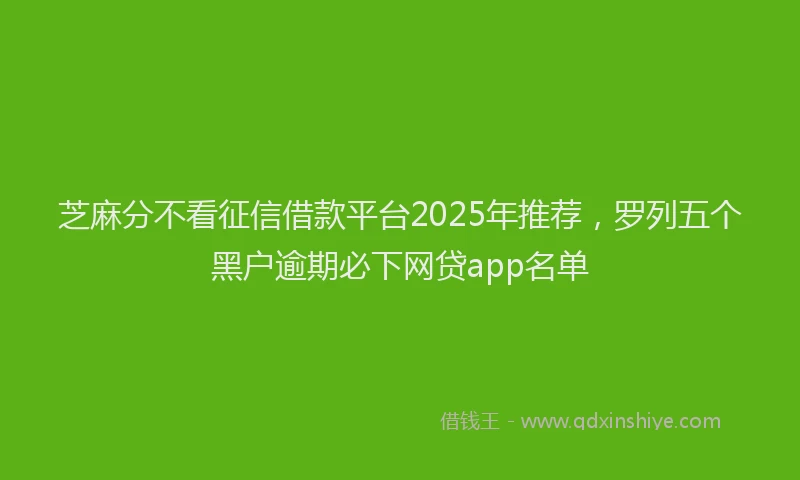 芝麻分不看征信借款平台2025年推荐，罗列五个黑户逾期必下网贷app名单