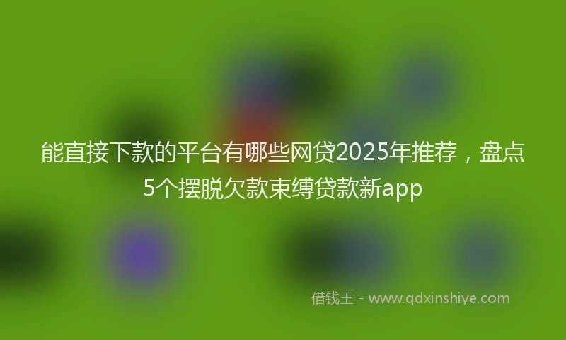 能直接下款的平台有哪些网贷2025年推荐，盘点5个摆脱欠款束缚贷款新app