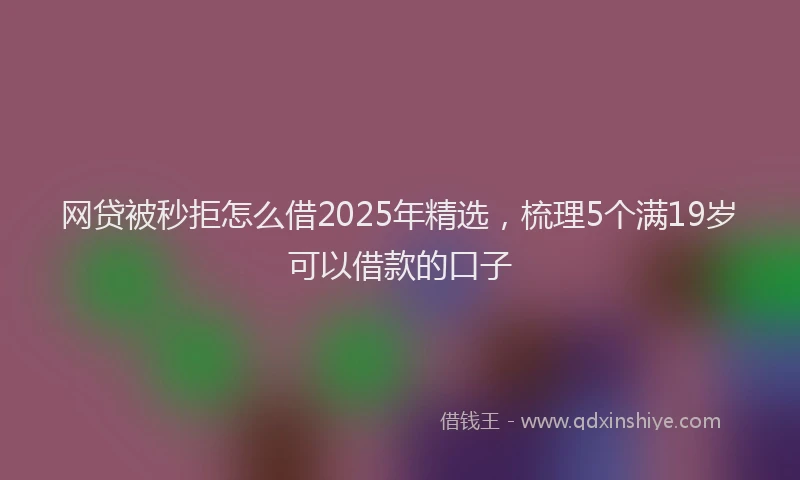 网贷被秒拒怎么借2025年精选，梳理5个满19岁可以借款的口子