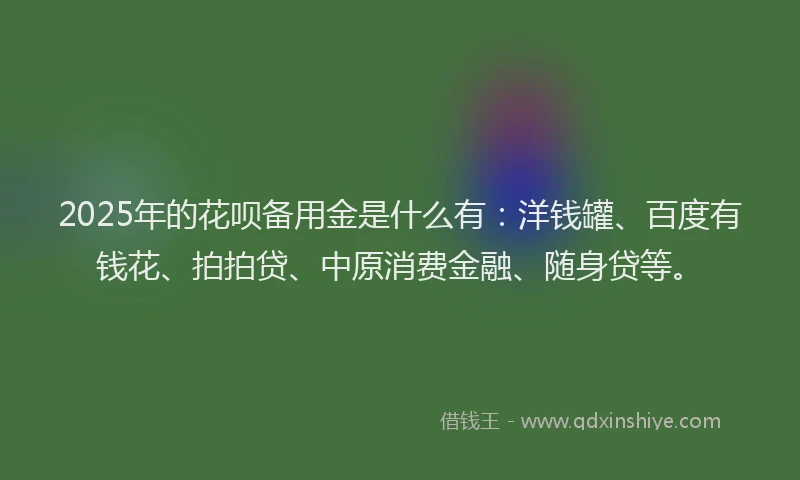 2025年的花呗备用金是什么有：洋钱罐、百度有钱花、拍拍贷、中原消费金融、随身贷等。