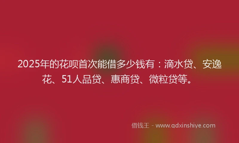 2025年的花呗首次能借多少钱有：滴水贷、安逸花、51人品贷、惠商贷、微粒贷等。