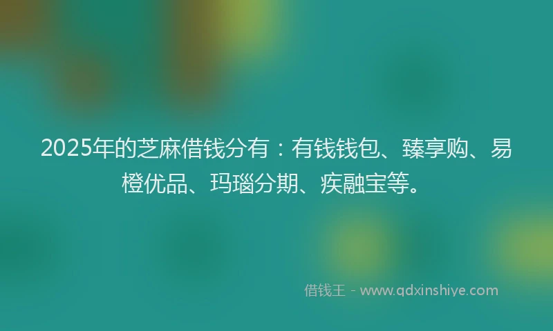 2025年的芝麻借钱分有：有钱钱包、臻享购、易橙优品、玛瑙分期、疾融宝等。