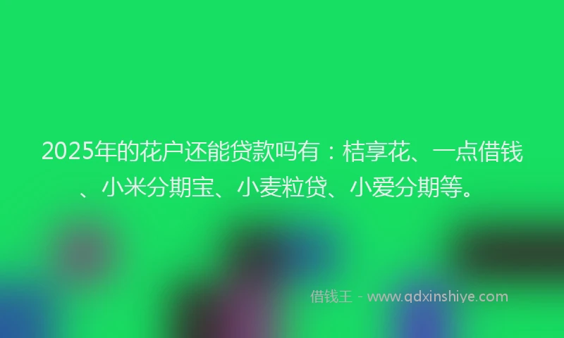 2025年的花户还能贷款吗有：桔享花、一点借钱、小米分期宝、小麦粒贷、小爱分期等。
