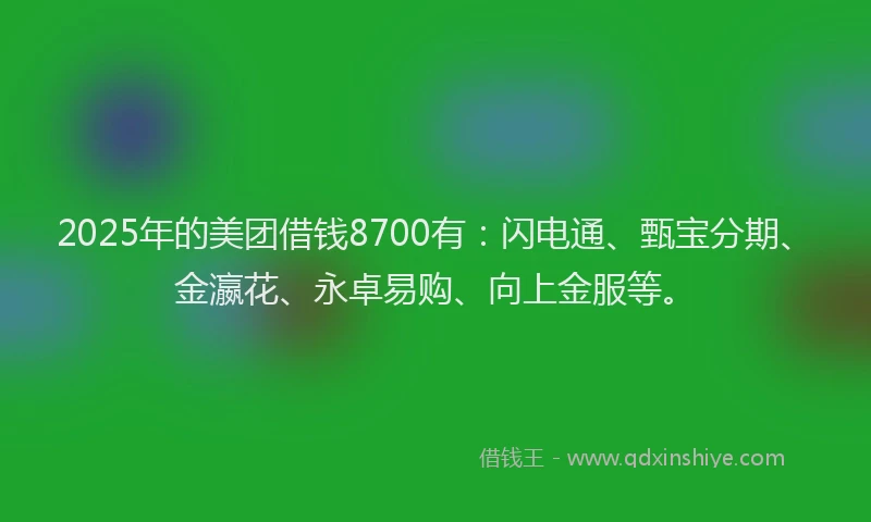 2025年的美团借钱8700有：闪电通、甄宝分期、金瀛花、永卓易购、向上金服等。