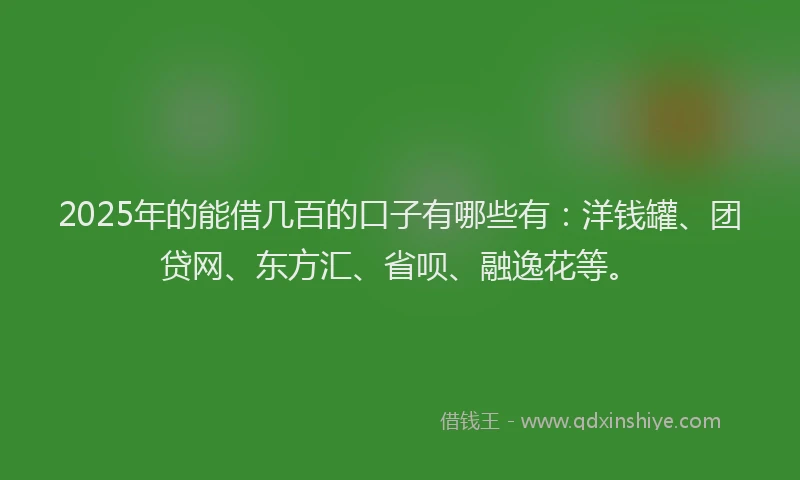 2025年的能借几百的口子有哪些有：洋钱罐、团贷网、东方汇、省呗、融逸花等。
