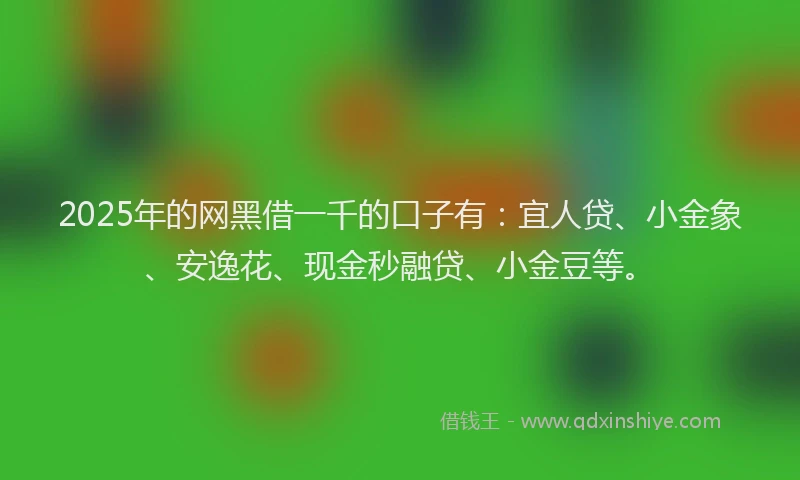 2025年的网黑借一千的口子有：宜人贷、小金象、安逸花、现金秒融贷、小金豆等。