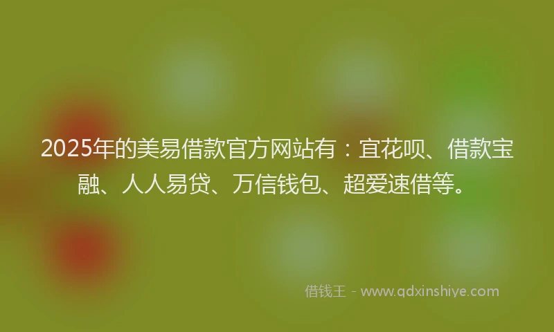 2025年的美易借款官方网站有：宜花呗、借款宝融、人人易贷、万信钱包、超爱速借等。