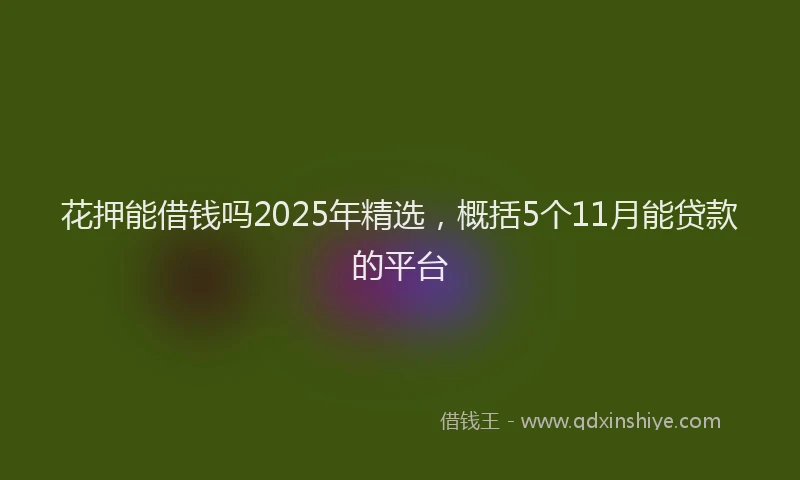 花押能借钱吗2025年精选，概括5个11月能贷款的平台