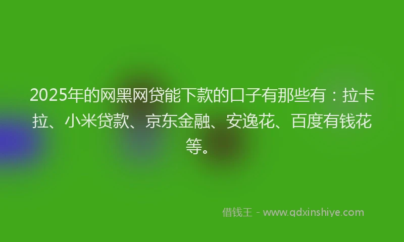 2025年的网黑网贷能下款的口子有那些有：拉卡拉、小米贷款、京东金融、安逸花、百度有钱花等。