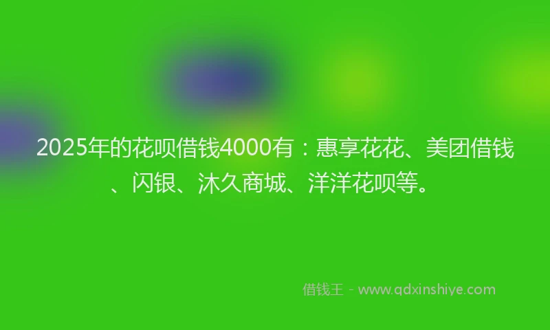 2025年的花呗借钱4000有：惠享花花、美团借钱、闪银、沐久商城、洋洋花呗等。