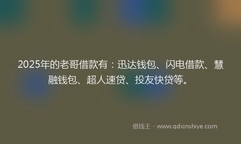 2025年的老哥借款有：迅达钱包、闪电借款、慧融钱包、超人速贷、投友快贷等。