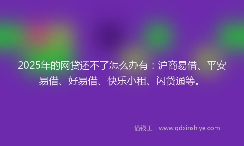 2025年的网贷还不了怎么办有：沪商易借、平安易借、好易借、快乐小租、闪贷通等。