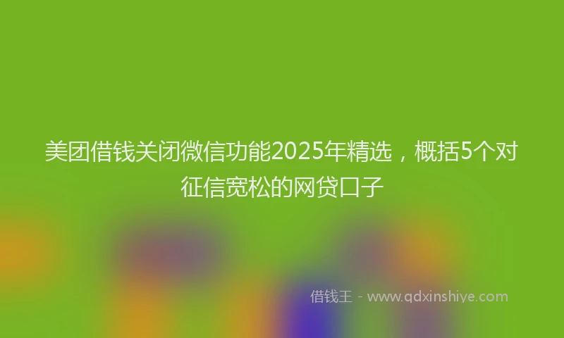 美团借钱关闭微信功能2025年精选，概括5个对征信宽松的网贷口子