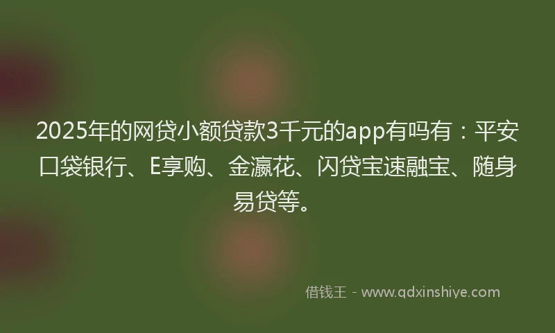2025年的网贷小额贷款3千元的app有吗有：平安口袋银行、E享购、金瀛花、闪贷宝速融宝、随身易贷等。