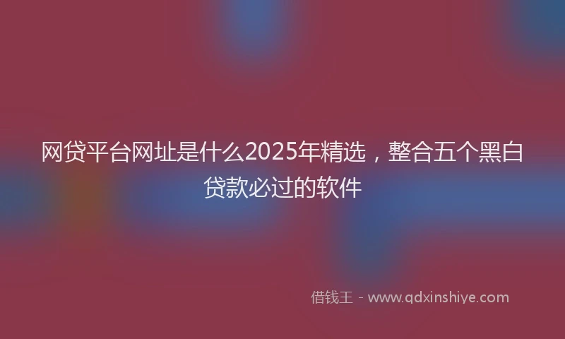 网贷平台网址是什么2025年精选，整合五个黑白贷款必过的软件