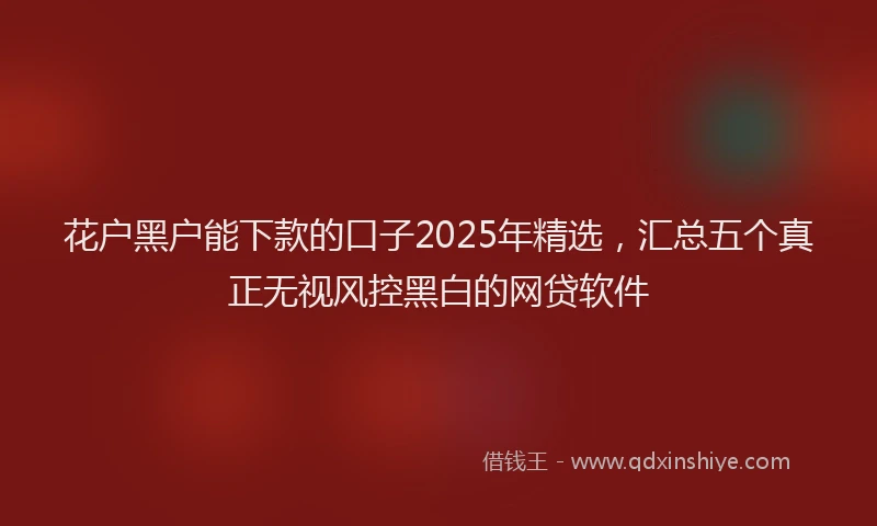 花户黑户能下款的口子2025年精选，汇总五个真正无视风控黑白的网贷软件