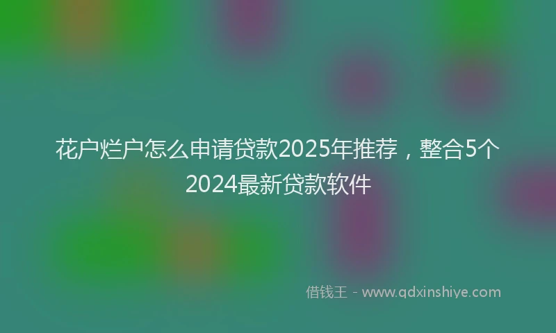 花户烂户怎么申请贷款2025年推荐，整合5个2024最新贷款软件