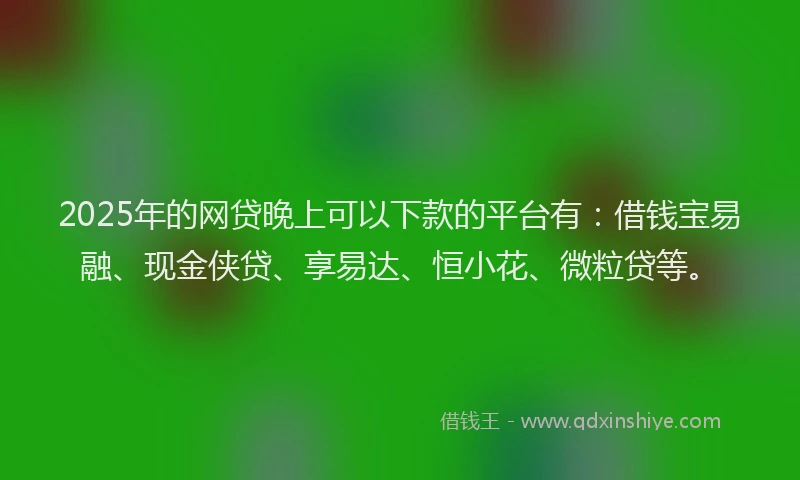 2025年的网贷晚上可以下款的平台有：借钱宝易融、现金侠贷、享易达、恒小花、微粒贷等。