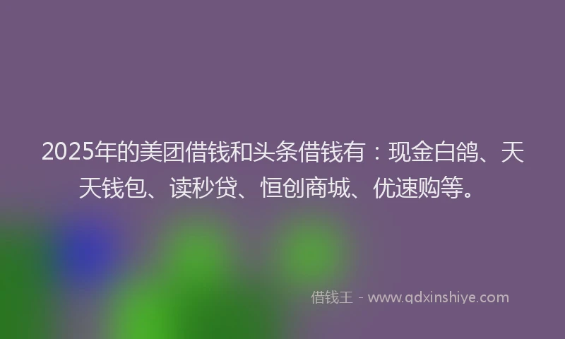 2025年的美团借钱和头条借钱有：现金白鸽、天天钱包、读秒贷、恒创商城、优速购等。